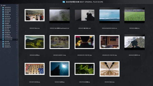 金馬獎(jiǎng)入圍影片設(shè)計(jì) 從動(dòng)態(tài)圖形到影視策劃的蛻變